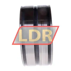 INA SL045028-PP rulman resim 3