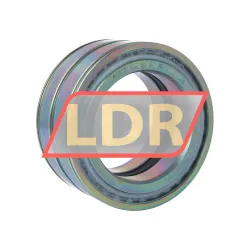 INA SL045017-D-PP-RR-C5-GA22