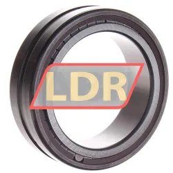 INA SL18-4912A C3 rulman resim 2