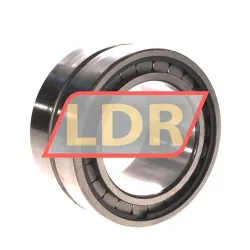 INA SL18-5014A C3 rulman resim 2