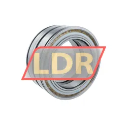 INA SL045028-D-PP-2NR