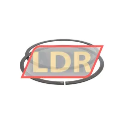 INA SL045028-D-PP-2NR rulman resim 2