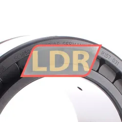 INA SL185020-A-C3-2S rulman resim 2