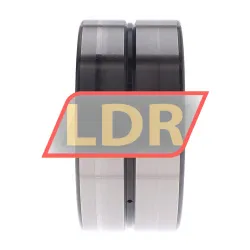 INA SL185020-A-C3-2S rulman resim 3