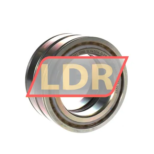 INA SL045016-D-PP-RR
