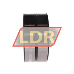 INA SL185020-A-C3 rulman resim 2
