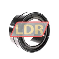 INA SL185020-A-C3 rulman resim 3