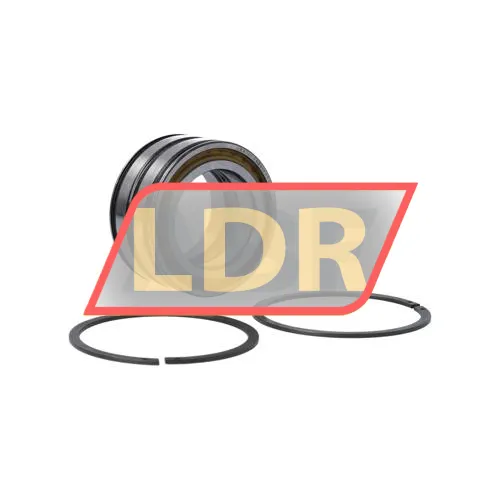 INA SL045010PP 2NR