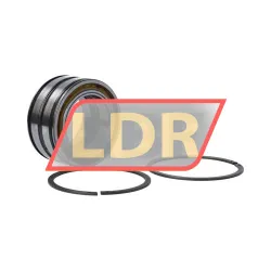 INA SL045010PP 2NR rulman resim 2