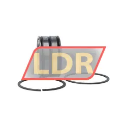 INA SL045010PP 2NR rulman resim 3