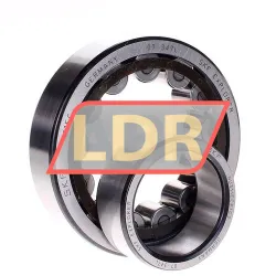 INA SL045018-PP rulman resim 2