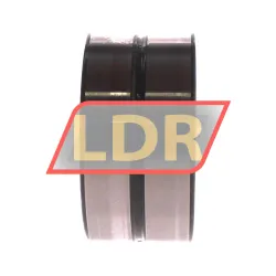 INA SL18-5016A C3 rulman resim 2