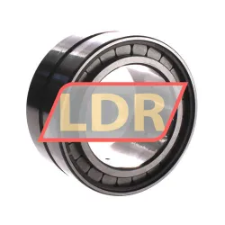 INA SL18-5016A C3 rulman resim 3