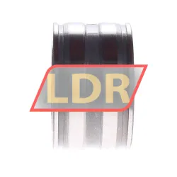INA SL04-5006 rulman resim 2
