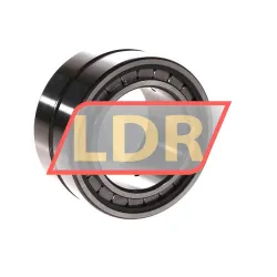 INA SL18-5010A rulman resim 2