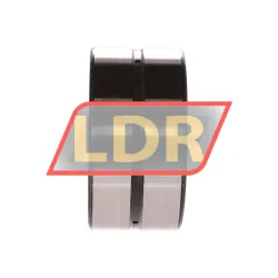 INA SL18-5010A rulman resim 3