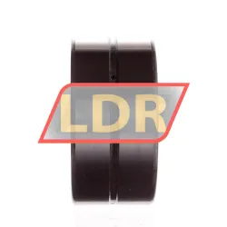 INA SL18-5012A rulman resim 3