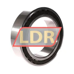 SKF NN3021KTN9/SP rulman resim 2