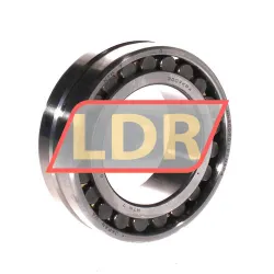 NTN NN3009K D1 C1 NA P4