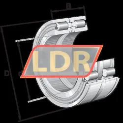 INA SL045005-PP-RR