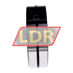 Neutral SL01-4924C3 rulman resim 2