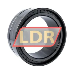 INA SL14924-A rulman resim 2