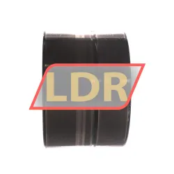 INA SL16918-A rulman resim 2