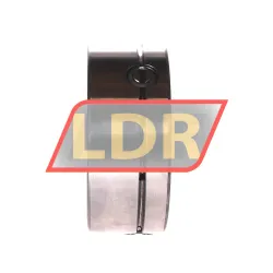 INA SL11916-A rulman resim 2
