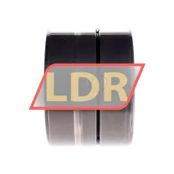 INA SL13918-A rulman resim 2