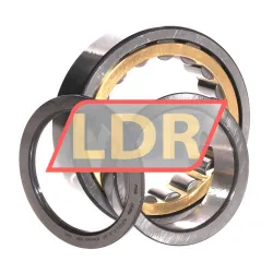 INA SL11918A rulman resim 3