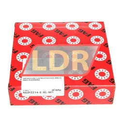 INA SL11918A rulman resim 4