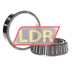 SKF 33019