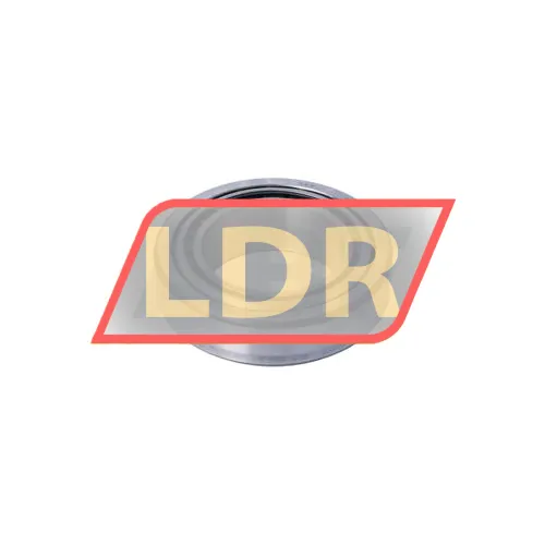 SKF T2DD065