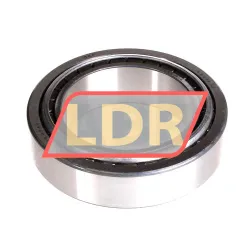 SKF 33019/Q