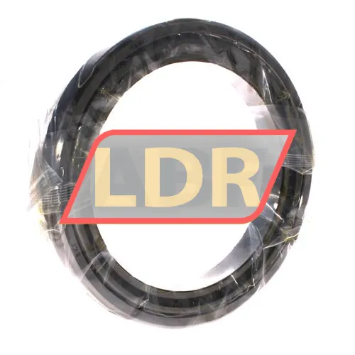SKF T4DB170