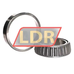 SKF 33021