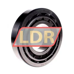 SKF 30319