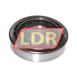 SKF 30311