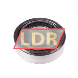 SKF 1988/1922/Q rulman resim 2
