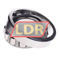RIV 30317 rulman resim 2