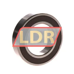 NSK 6008L11DDU rulman resim 2