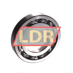 NSK 16005CM rulman resim 2