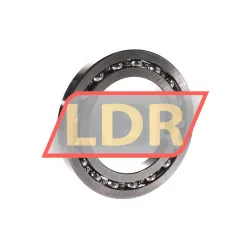 NSK 16016C3 rulman resim 2