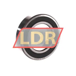 SLF Fraureuth 6007-2RSR-C3-L1041