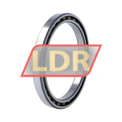 INA 61820-2RS-Y rulman resim 2
