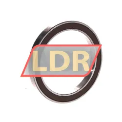 NSK 6810DDU rulman resim 2