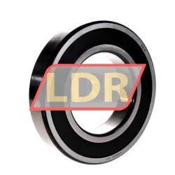 NTN 6219LLB