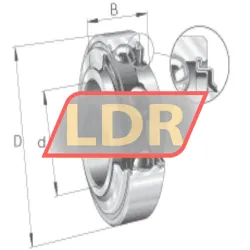 INA 202-KXN4 rulman resim 5