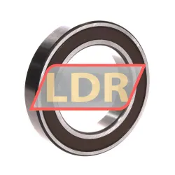 NSK 6014DDUCM rulman resim 2