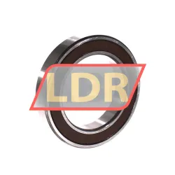 NSK 6013DDUC3E